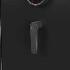 Sports Afield Domain Series 20-Gun Fire Safe